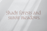 Fernhead Decorative Serif Font, a Serif Font by Headfonts (Thumbnail 5 of 11)