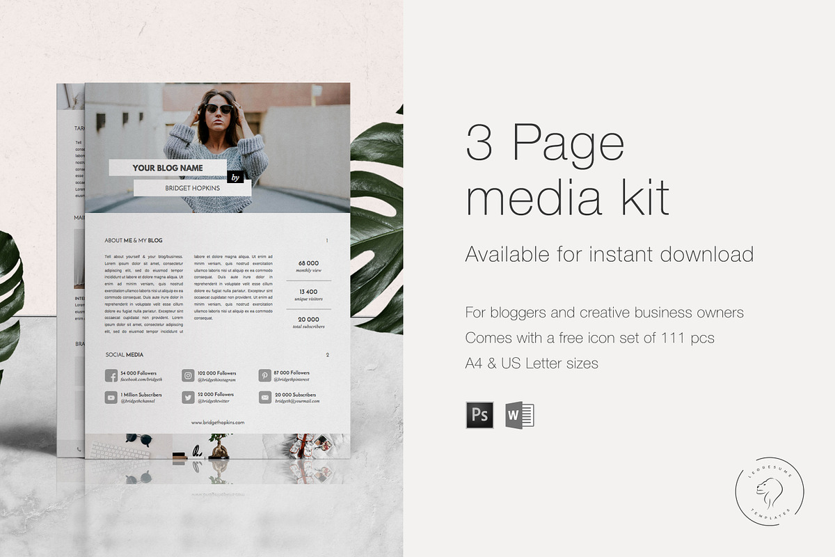 Media Kit & Ad Rate Sheet - 3 Pages, a Resume Template by Leo Resume (Photo 7 of 8)