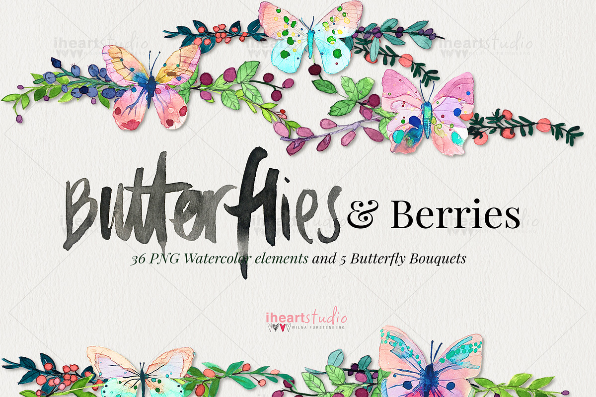Butterflies & Berries Watercolors, an Illustration by iHeartStudio (Photo 1 of 4)