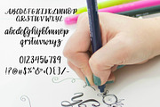 Noelle Script Brush Lettered Font, a Script Font by Amy Latta Creations (Thumbnail 3 of 4)