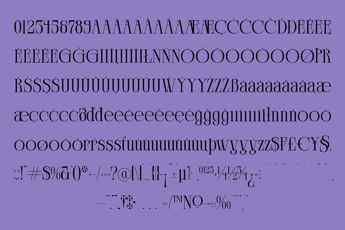 Clerioo – Elegant Serif Display Font, a Serif Font by MooneseyeType (Photo 5 of 10)