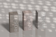 Natural Shadow Zen Overlays, a Texture Graphic by Feather & Sage Design (Thumbnail 3 of 14)