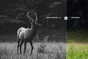 B&W Collection  Lightroom Presets, an Action Add-On by Art Zooted (Thumbnail 4 of 9)