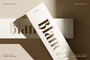 LaRuja - Modern Serif Typeface, a Serif Font by SilverStag Type Foundry (Thumbnail 3 of 20)