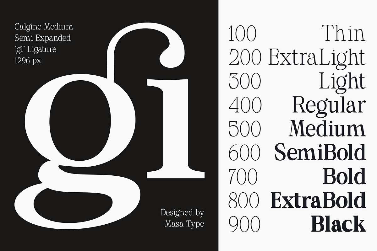 Calgine Serif, a Serif Font by MasaType (Photo 2 of 12)