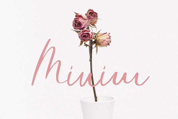 Minim Font preview 7