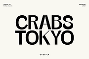 Gastica - Grostesque Typeface, a Sans Serif Font by InkwellTypeCo (Thumbnail 7 of 12)