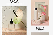 265 Cosmetic Packaging Stock Photos, a Beauty & Fashion Photo by Tale.Haus (Thumbnail 8 of 19)