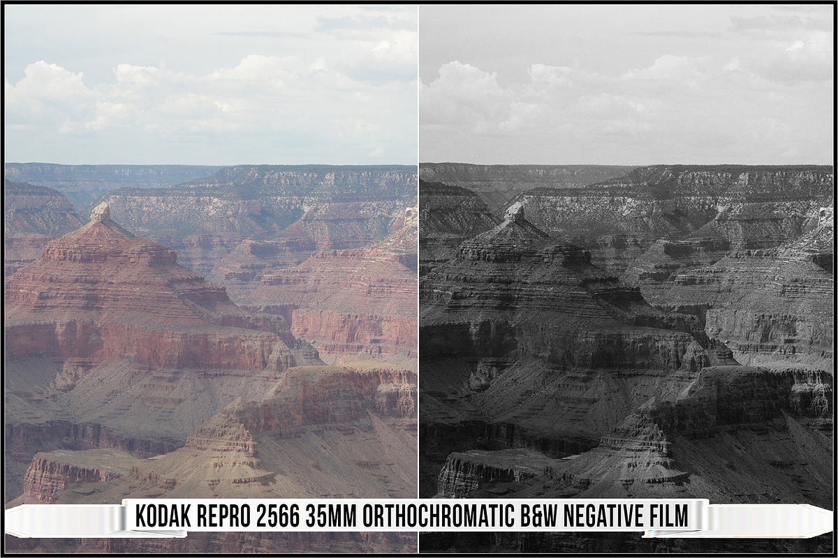 Eastman Kodak Black and White Films, a Plug-in Add-On by