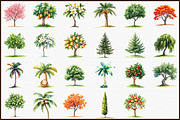 Summer Trees Clipart, an Illustration by Sublimation Artist (Thumbnail 3 of 6)