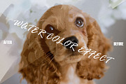 Water color Photo Effect, a Texture Graphic by Drawwell (Thumbnail 3 of 7)
