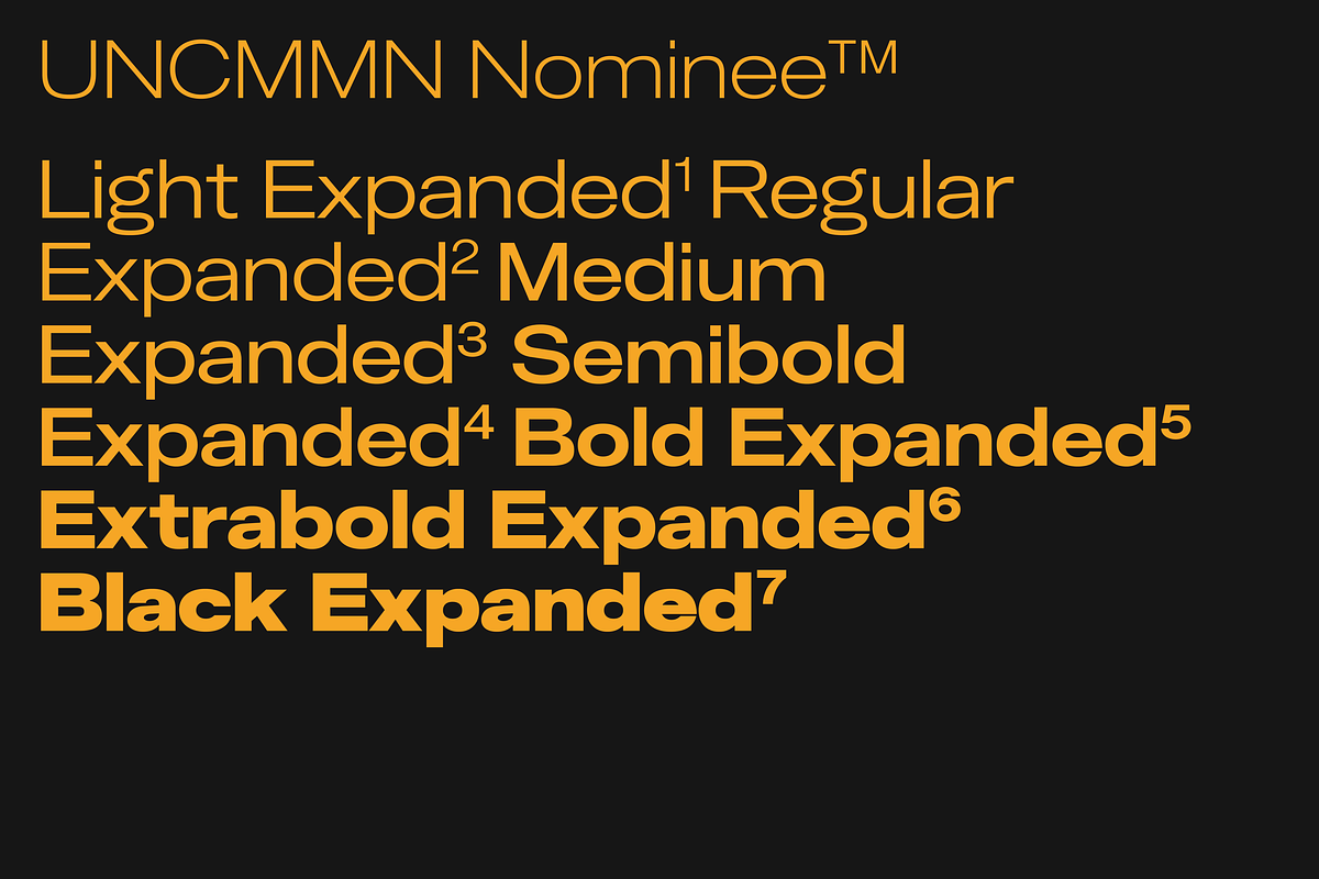 Uncmmn Nominee Sans Serif 21 Style, a Font by Kotivoro (Photo 17 of 30)