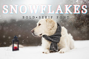 Snowflake font, a Serif Font by pashigorov (Thumbnail 1 of 4)