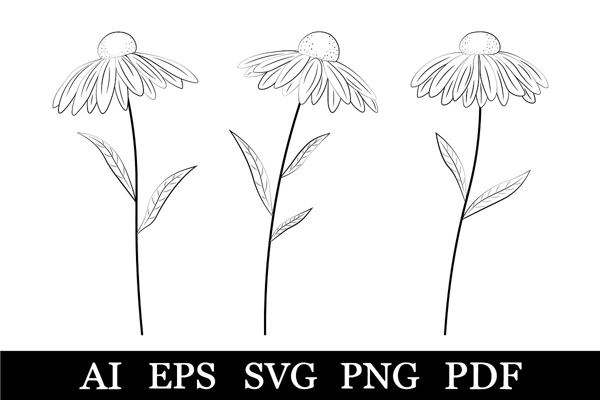 Flowers coloring. Daisies graphic, a Seasonal Illustration by IrinaShishkova (Photo 1 of 2)