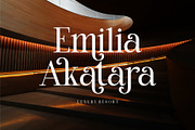 Marlin Modern Elegant Serif, a Serif Font by Alfinart (Thumbnail 5 of 11)