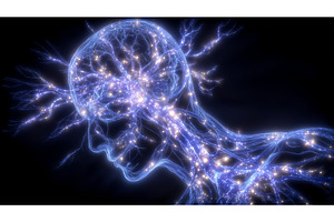 The human brain is linked to digital, a Technology Photo by ZinetroN