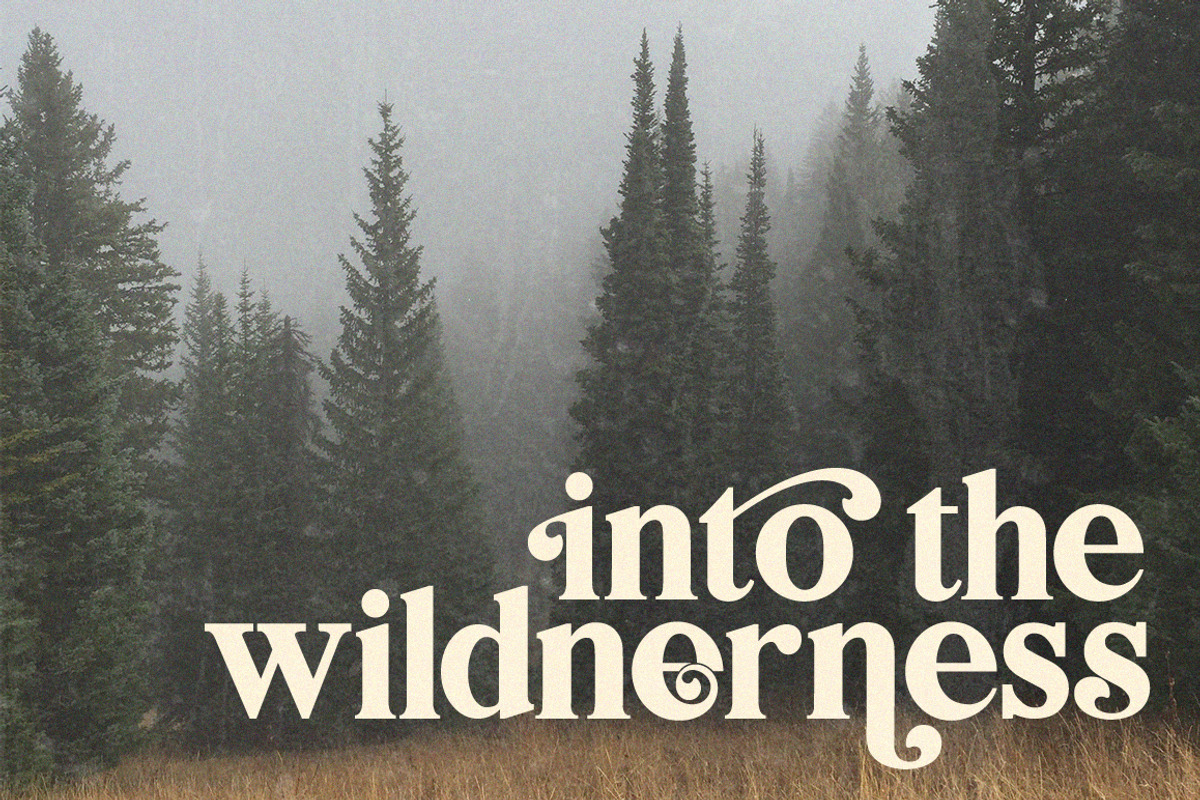 Bilingual Serif Font Duo, a Serif Font by Salt & Pepper Designs (Photo 8 of 13)