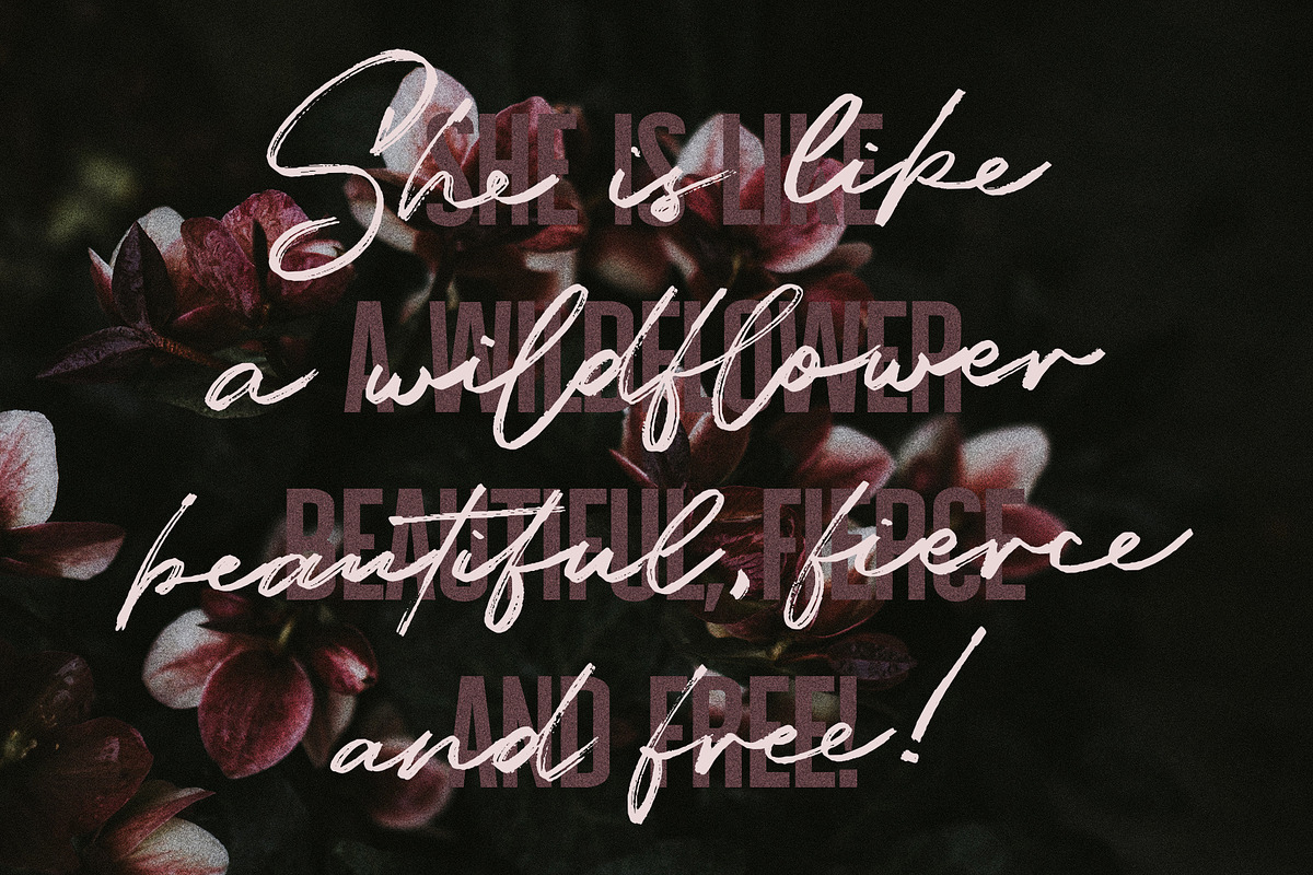 Dreaming Of Spring Stylish Font Duo, a Sans Serif Font by SilverStag Type Foundry (Photo 21 of 23)