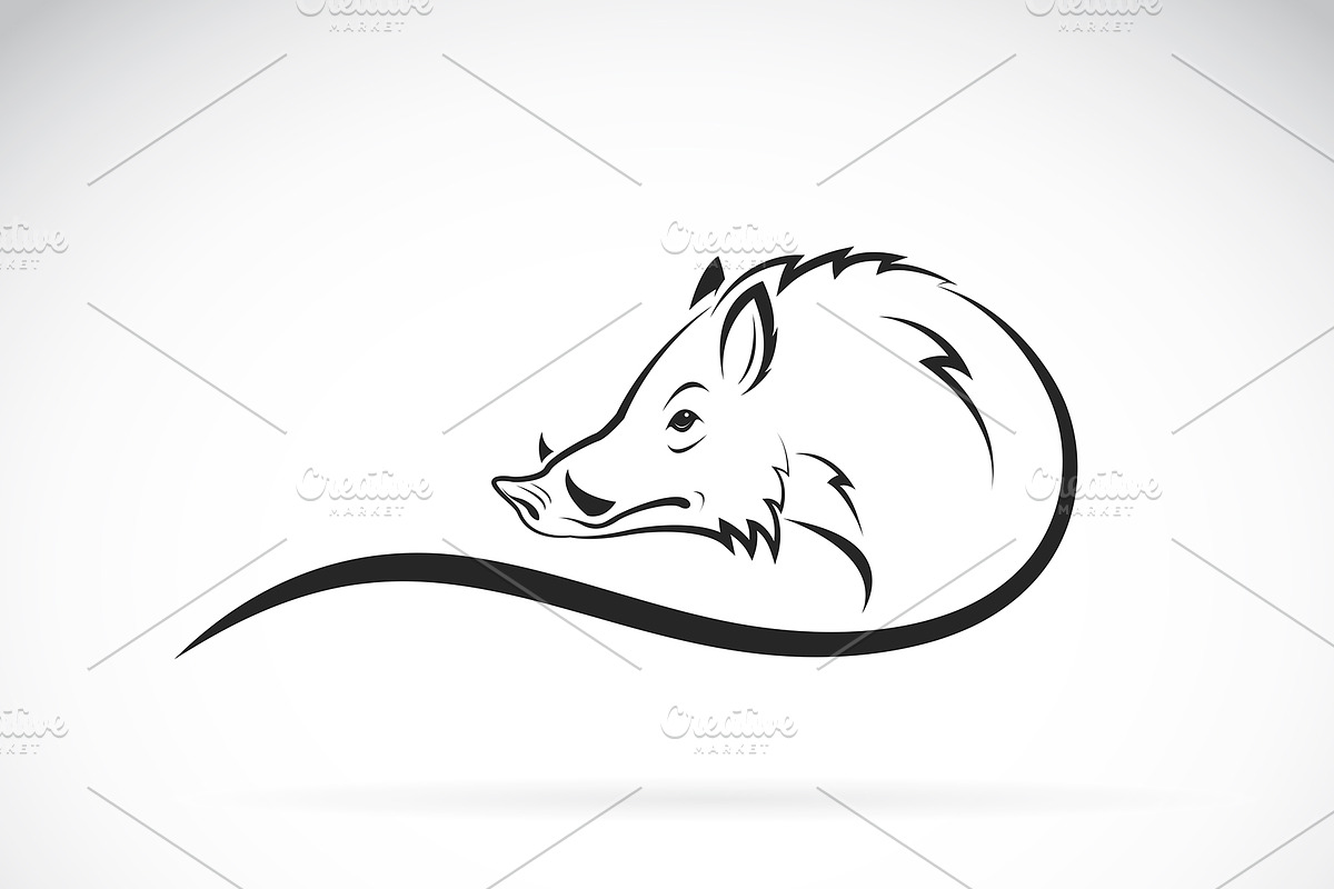 Vector of boar head design., an Animal Illustration by yod67