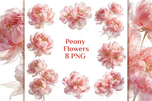 Pink Peony Watercolor 8 PNG Clipart