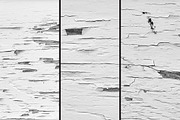 Painted wood textures, a Texture Graphic by The Shop (Thumbnail 16 of 26)
