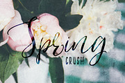 Indulgence Script Font Duo, a Script Font by Creativeqube Design (Thumbnail 8 of 18)
