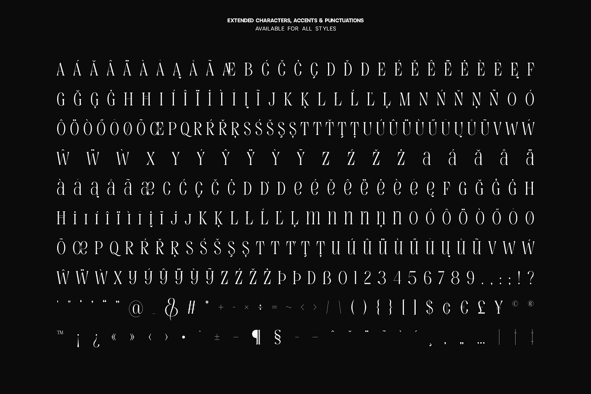 Evertype - Display Serif Font Family, a Serif Font by VP Fonts (Photo 24 of 32)