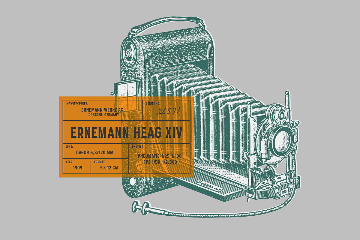 Photography - Vintage Illustrations, an Illustration by Graphic Goods (Photo 3 of 11)