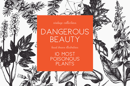 10 Most Poisonous Plants. Vector set, a Healthcare Illustration by Yevheniia