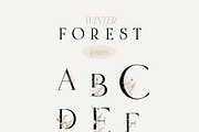 Autumn and Winter FOREST -watercolor, a Seasonal Illustration by Youksy (Thumbnail 28 of 29)
