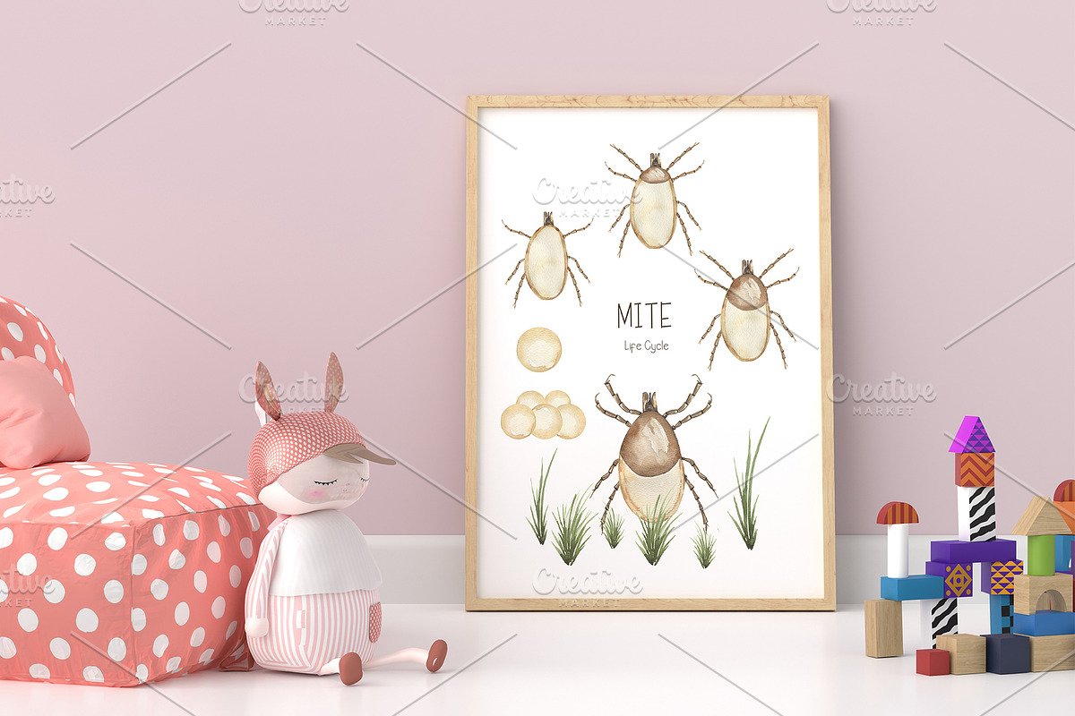 Watercolor Insects Life Cycle, an Education Illustration by MayaNavits (Photo 10 of 18)
