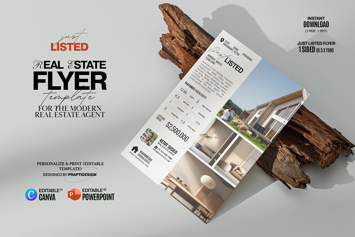 Real Estate Marketing Flyer (CANVA), a Flyer Template by Prapti Design (Photo 1 of 10)