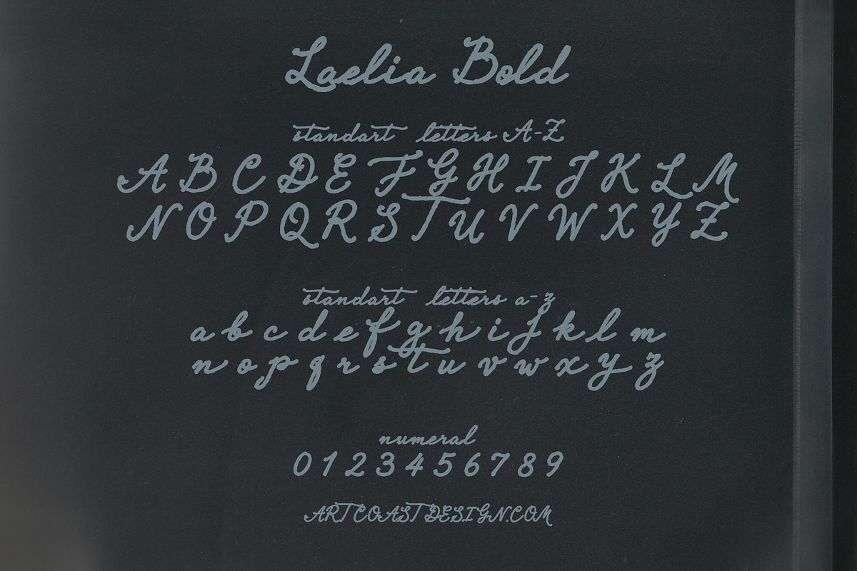 Laelia Font Family | Elegant Script, a Script Font by nadispasibenko (Photo 8 of 11)