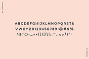 Fox and Bower, a Sans Serif Font by Creative Type (Thumbnail 6 of 6)