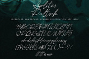 Soliter Poltrek, a Handwritten Font by HaKi Studio (Thumbnail 5 of 5)