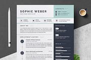 Resume/CV Bundle | 200+ for $29, a Resume Template by ResumeInventor (Thumbnail 2 of 207)