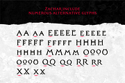 Zachar, a Serif Font by Rosario Nocera (Thumbnail 4 of 12)