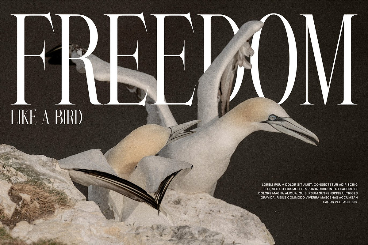 Gate - Modern Serif Font, a Serif Font by Luna Shop (Photo 4 of 6)