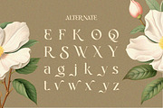 Qasela - Retro Stylish Serif Font, a Serif Font by Qweera Studio (Thumbnail 9 of 12)
