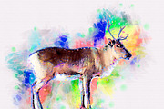Pet Watercolor Art Plugin, an Action Add-On by MRI STUDIO (Thumbnail 5 of 15)