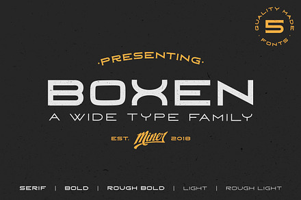 Boxen Type Family, a Sans Serif Font by Nicholas Miner