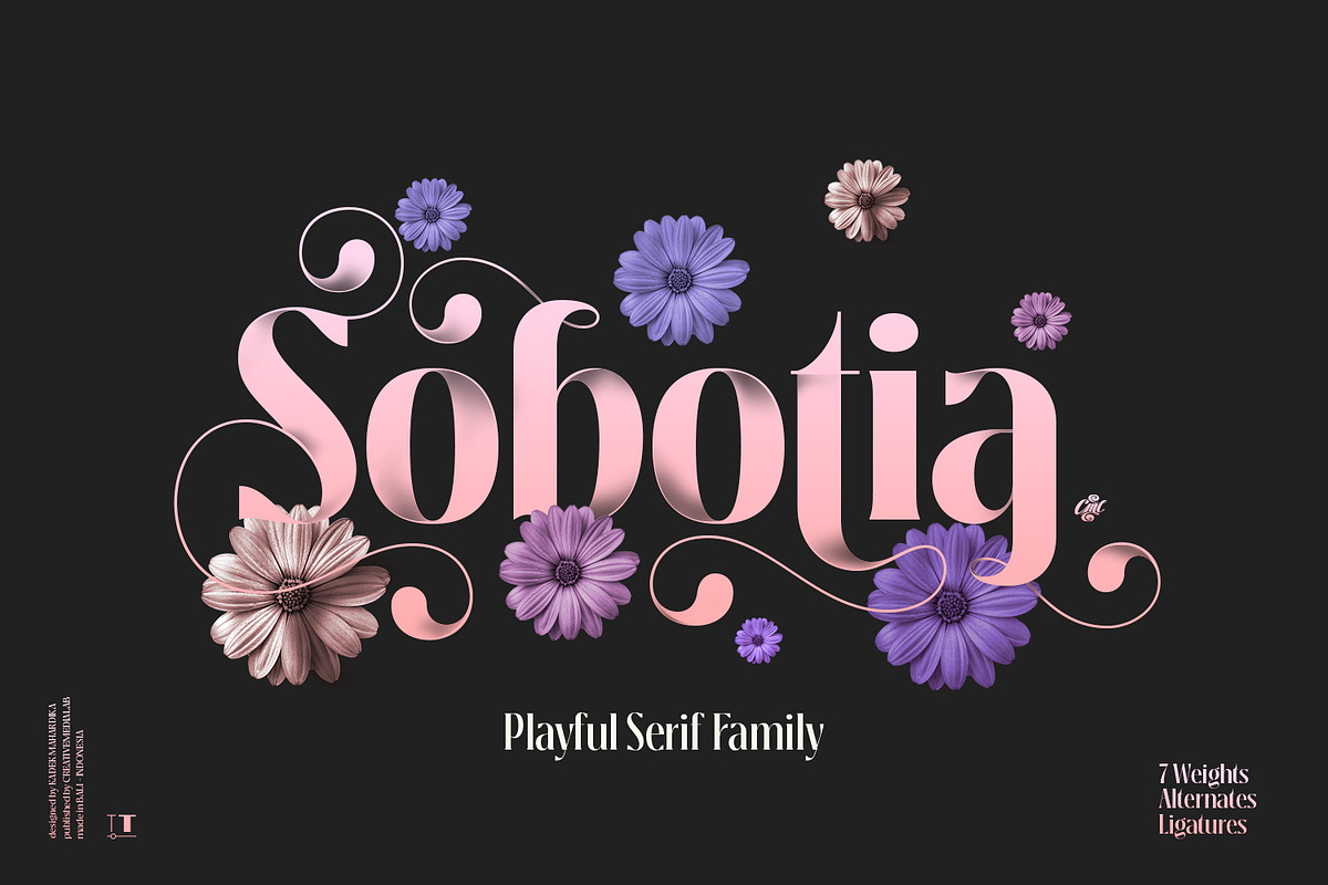 Sobotia - Playful Serif family, a Serif Font by creativemedialab (Photo 1 of 10)
