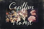 Memories Semesta Script Handwritten, a Script Font by Denustudios (Thumbnail 8 of 12)
