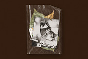 Small Plastic Bags Pack, a Packaging Mockup by Design Squad (Thumbnail 5 of 8)
