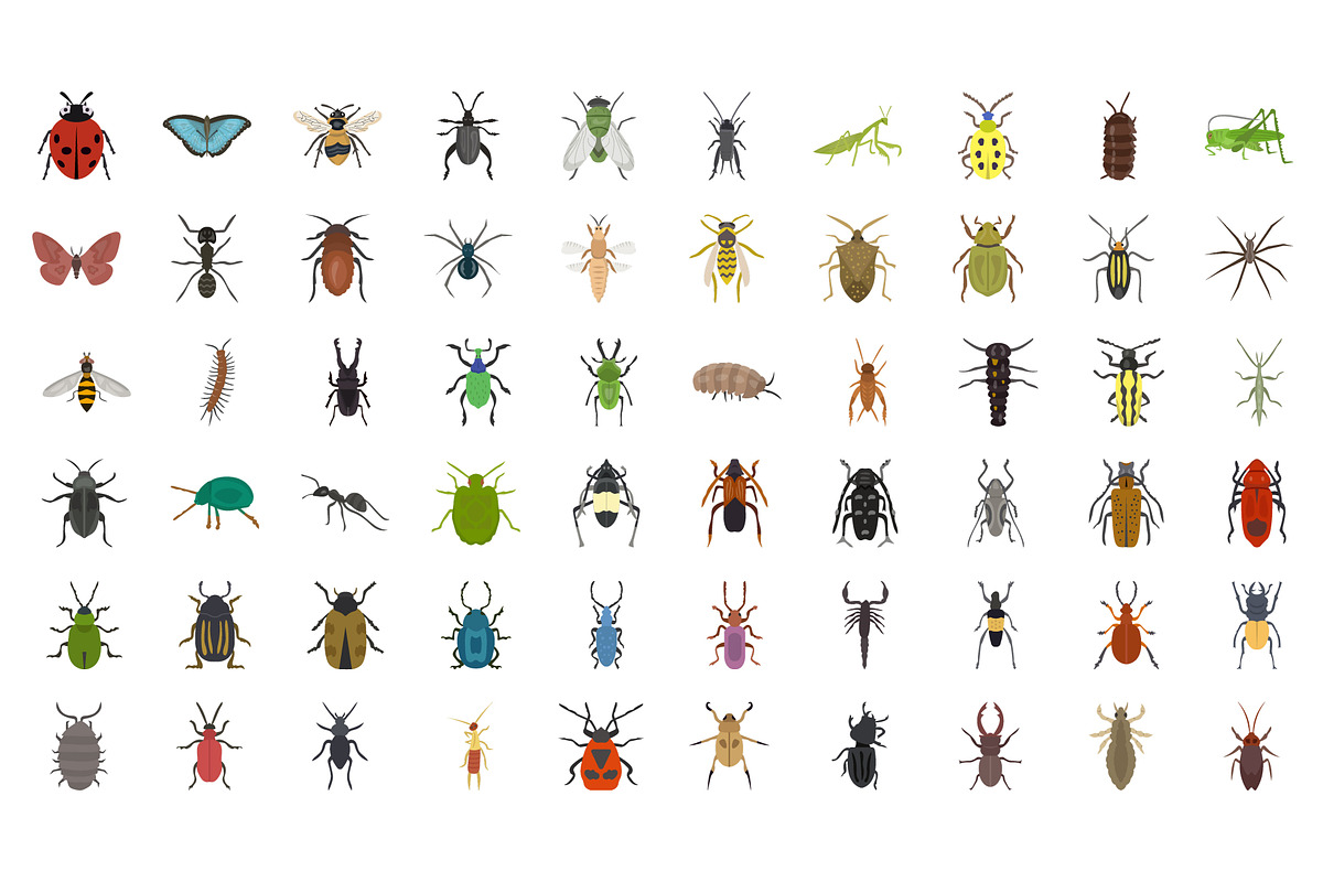 60 Insects Vector Icons, a Duotone Icon by Vectors Market (Photo 2 of 3)