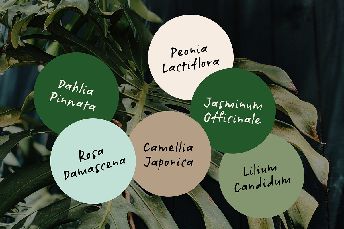Botanicale | Handwritten Font, a Handwritten Font by type peace (Photo 5 of 18)