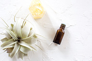 Essential Oil Photo Bundle, a Health & Medical Photo by Wellness Stock Market (Thumbnail 6 of 11)