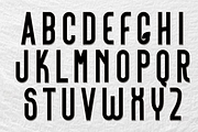 Beach House, a Script Font by FreshTypeINK (Thumbnail 7 of 8)