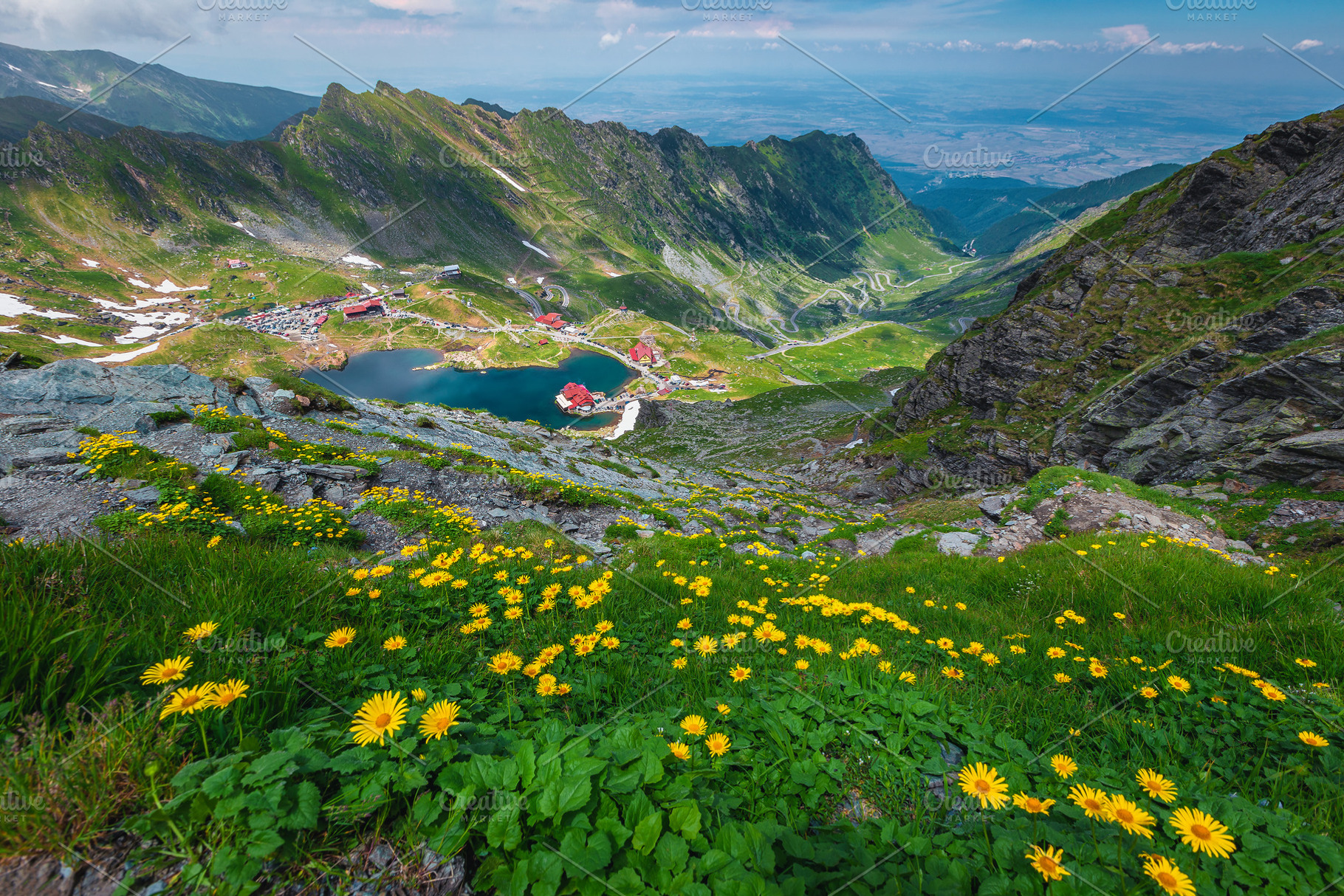 Lake Balea and yellow dandelions, a Nature Photo by Alpine Dreams