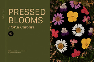 PRESSED BLOOMS Floral Cutouts